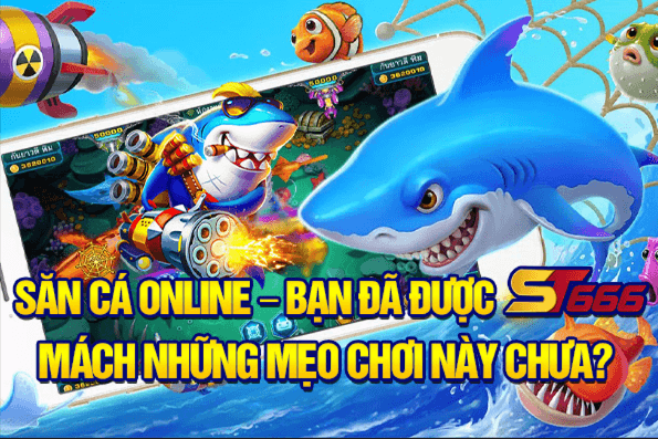 Săn cá online – bạn đã được ST666 mách những mẹo chơi này chưa?